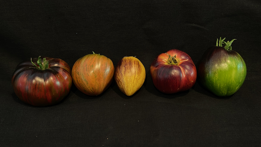 Let's Talk Tomatoes