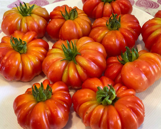 Seeds: Tomato - Costoluto Genovese