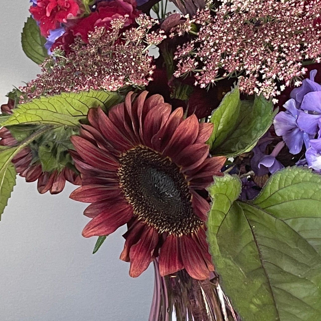 procut red sunflower