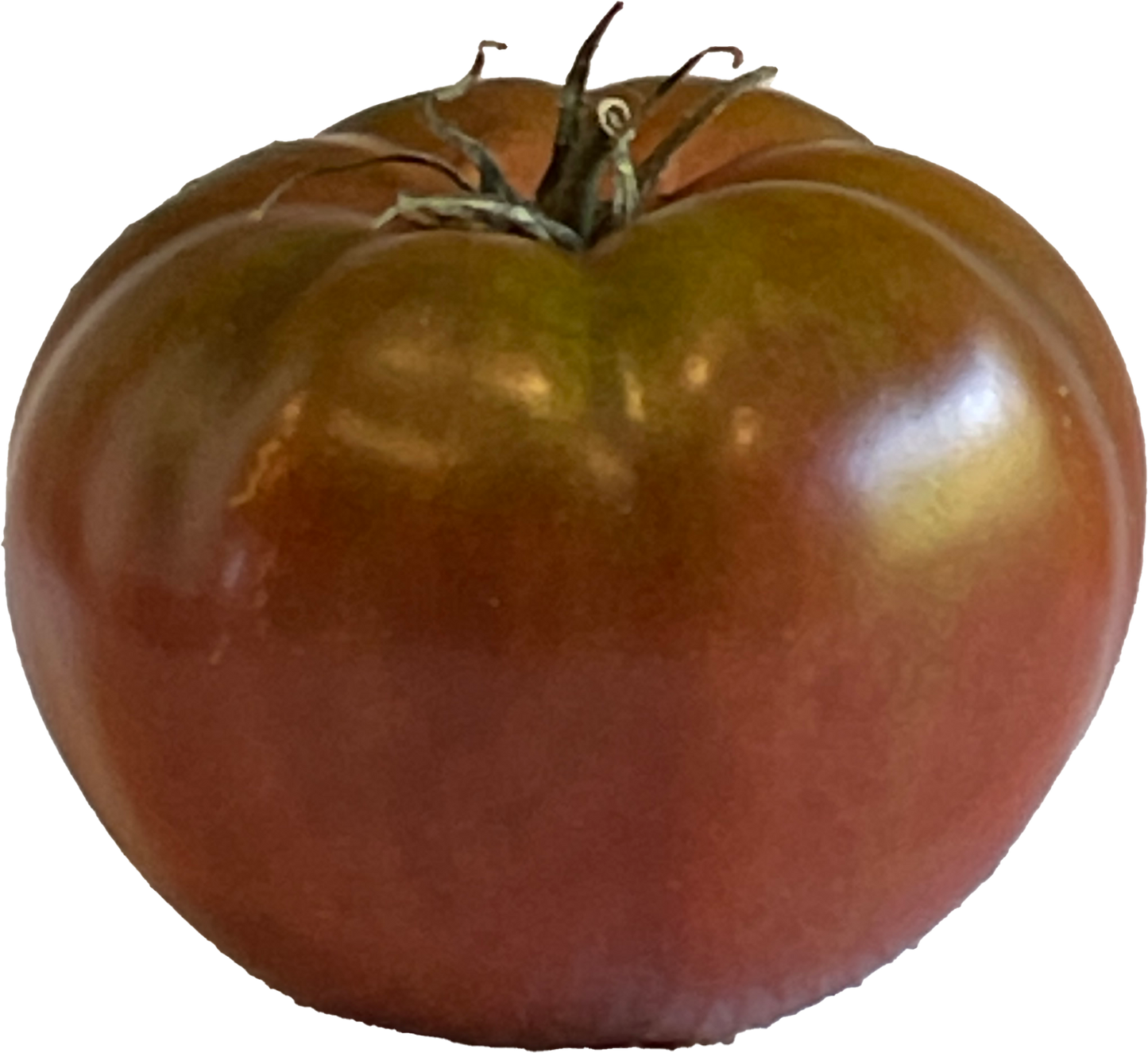 Seeds: Tomato - Black Krim