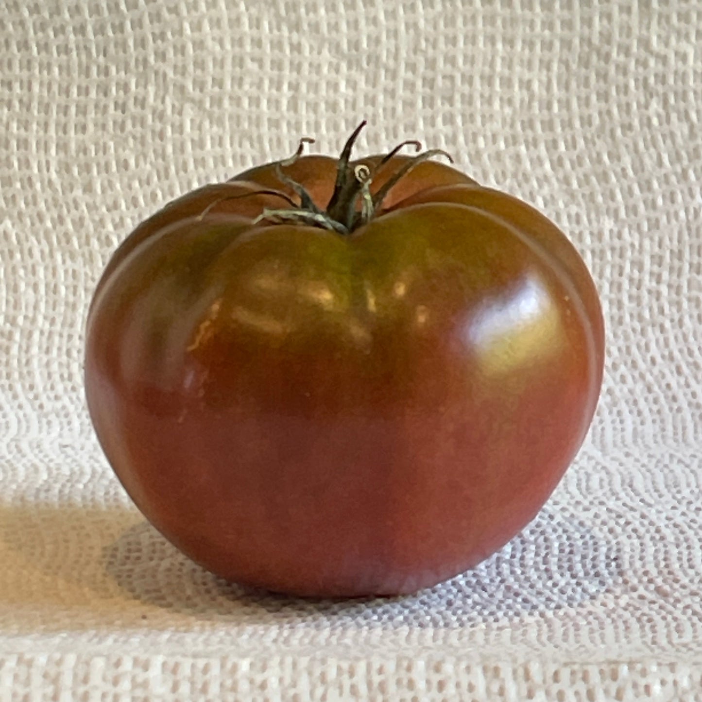 PREORDER: Veg Plant: Tomato - Tried & True collection