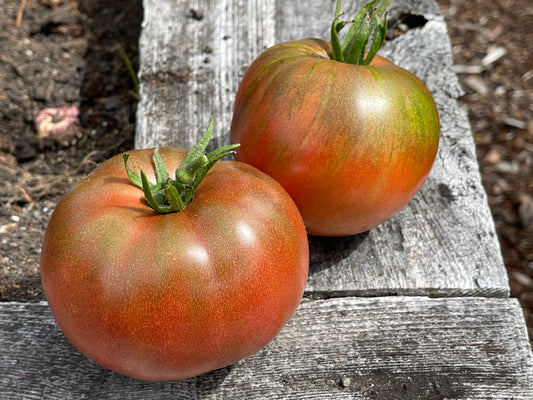 Seeds: Tomato - Bloodstone - Sugar Moon Gardens
