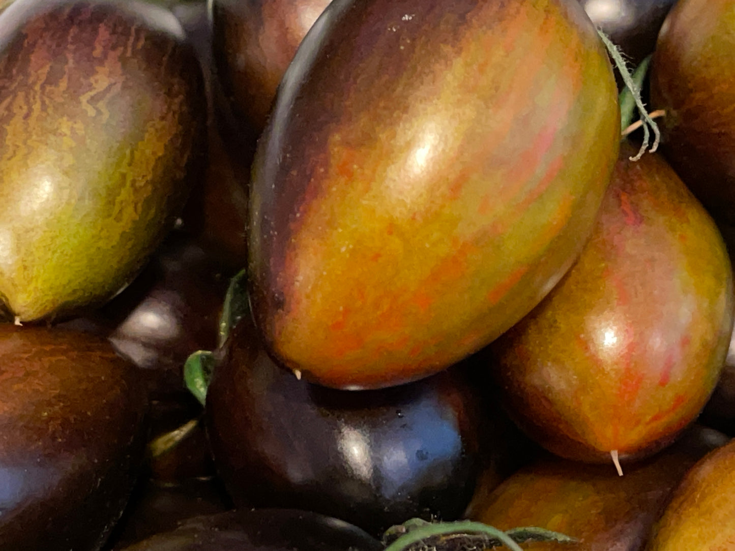 Seeds: Tomato - Brad's Atomic Grape