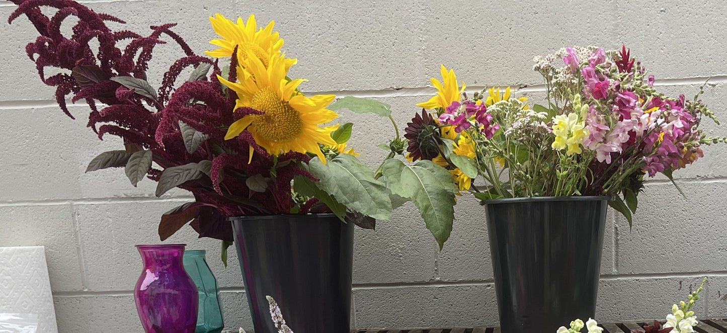 Bulk Flowers