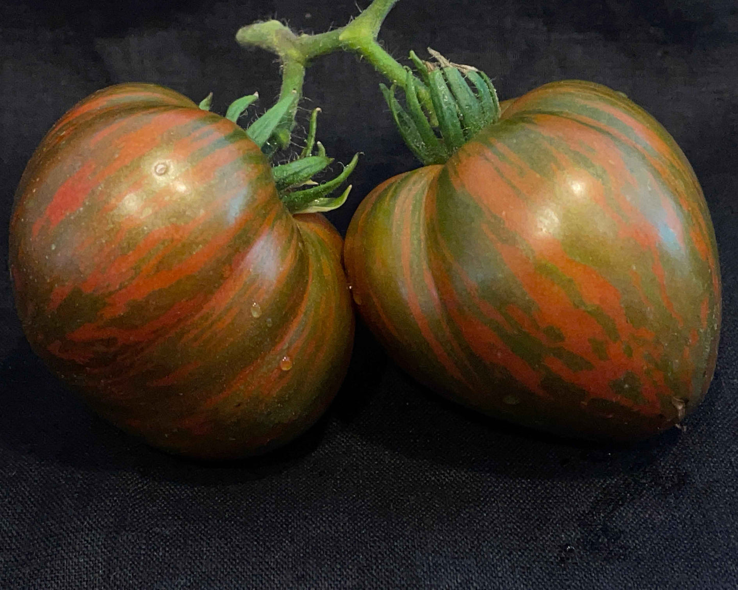 Seeds: Tomato - Chocolate Lightening