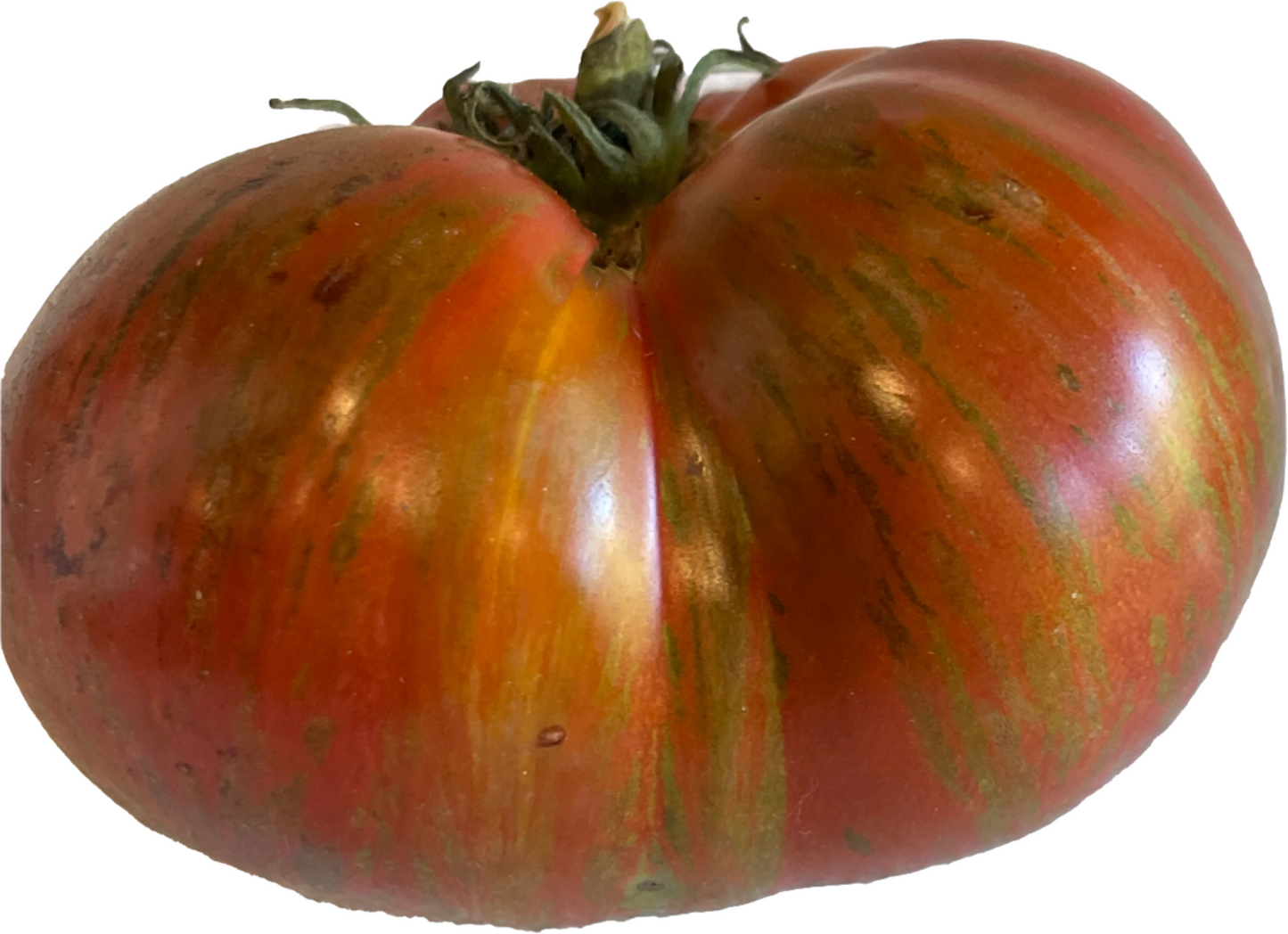 PREORDER: Veg Plant: Tomato - Tried & True collection