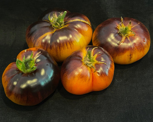 Seeds: Tomato - Chupa Chubs - Sugar Moon Gardens