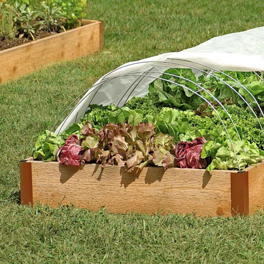 Garden Hoops - sturdy and reusable