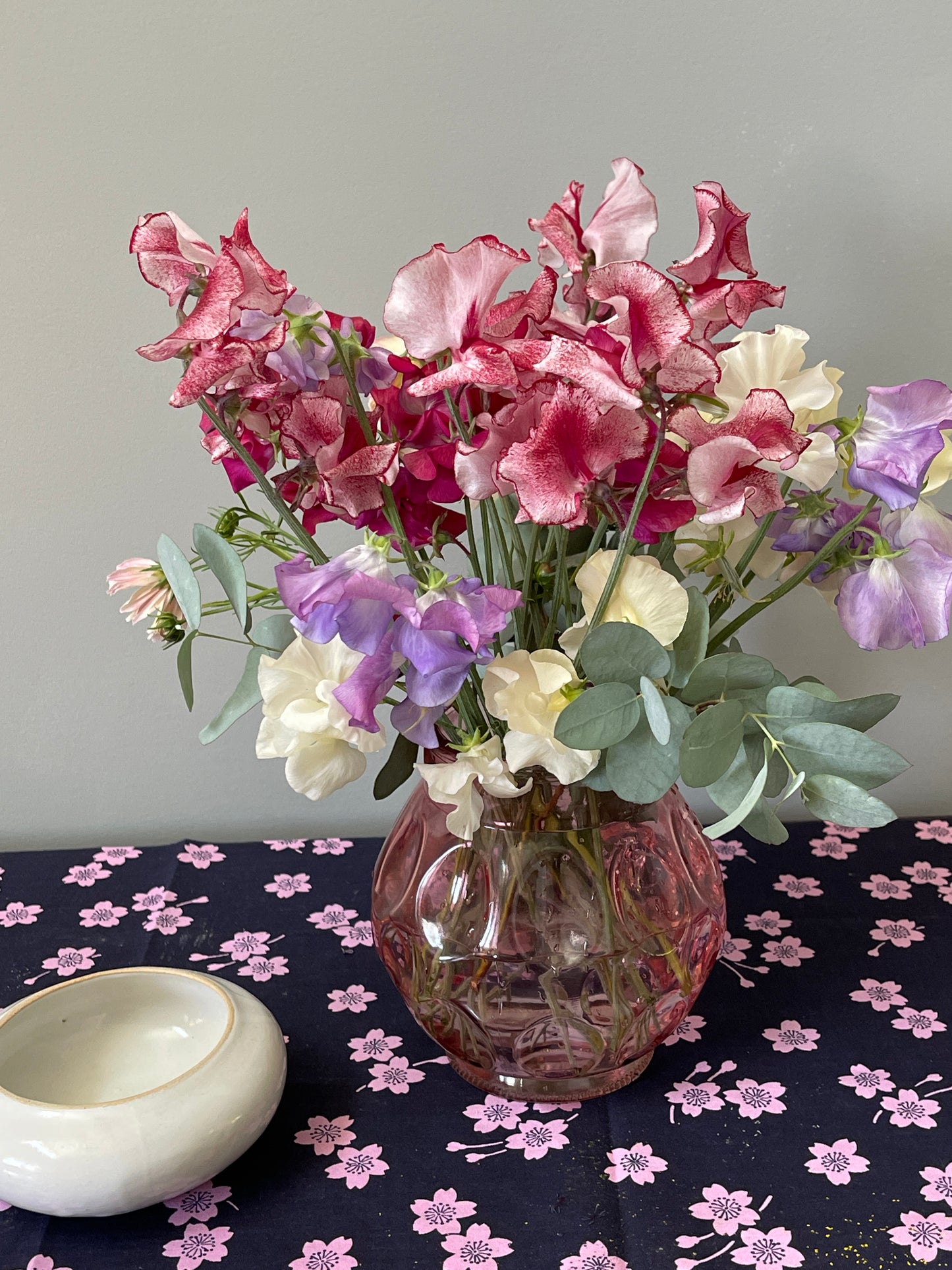 Sweet Pea Seeds: Mars