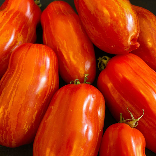 Seeds: Tomato - Marzano Fire (paste)