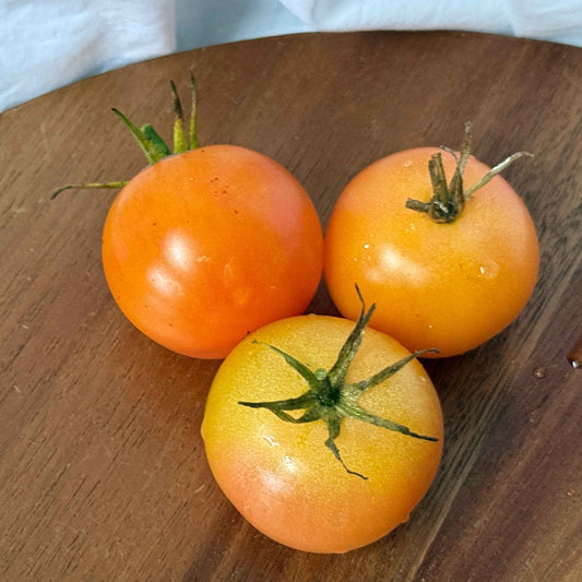 Seeds: Tomato - MoonChild