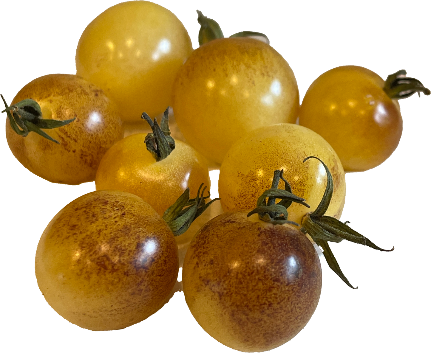 PREORDER: Veg Plant: Tomato - Cherry collection