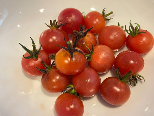 Seeds: Tomato - Napa Rosé (cherry) - Sugar Moon Gardens