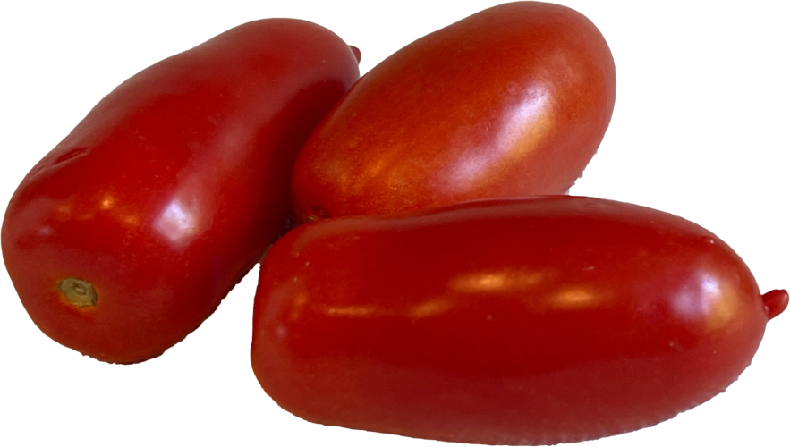 PREORDER: Veg Plant: Tomato - Paste collection
