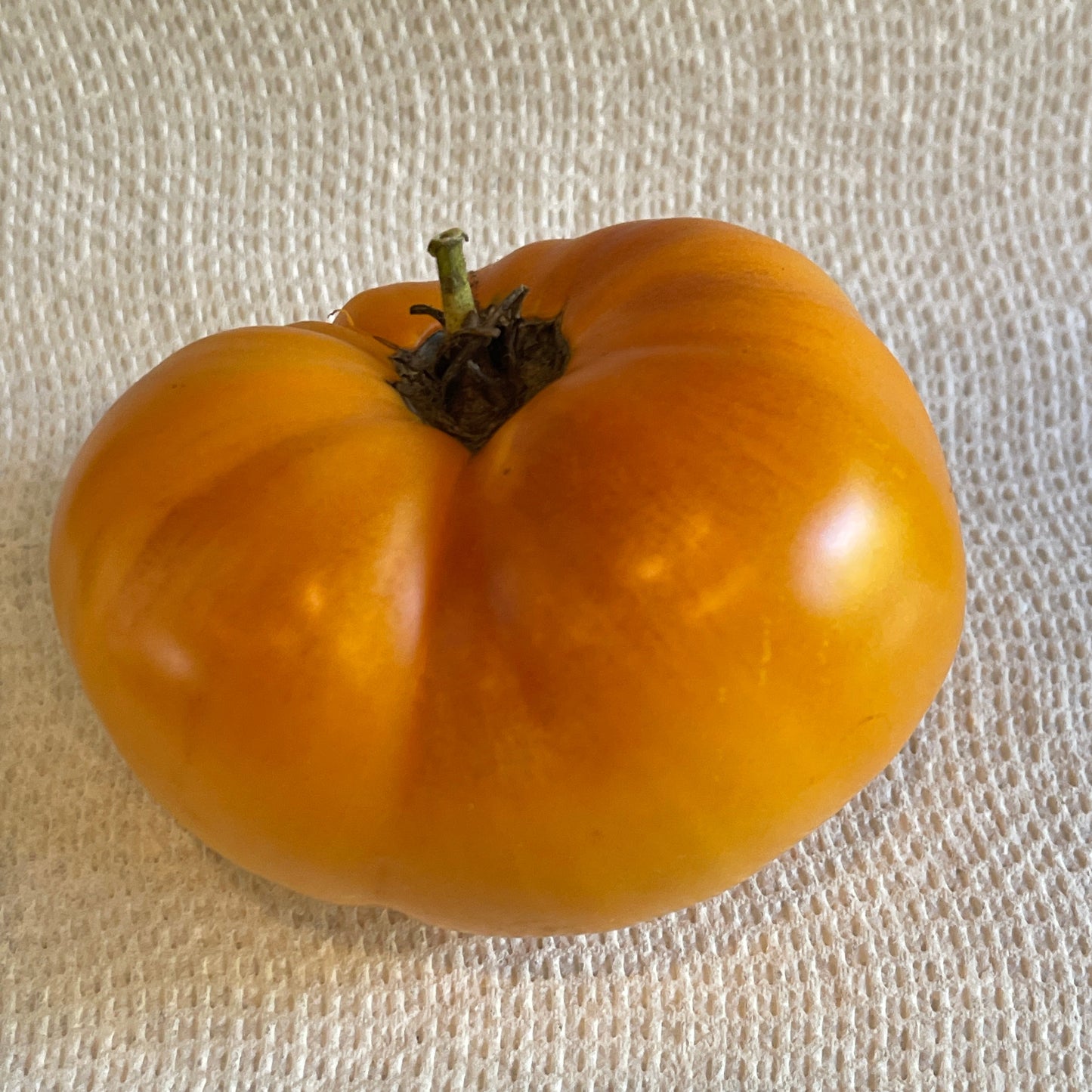 PREORDER: Veg Plant: Tomato - Tried & True collection