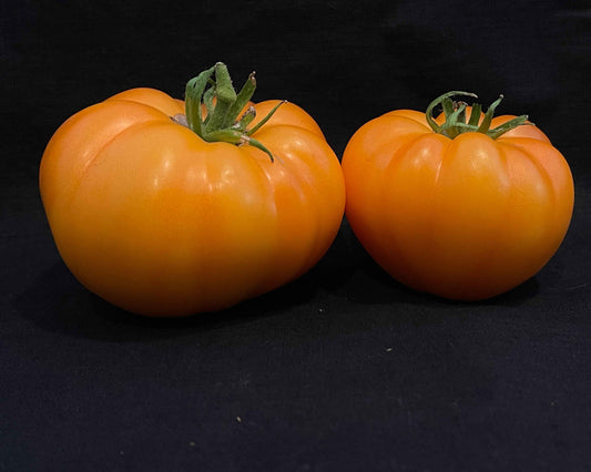 Seeds: Tomato - Persimmon