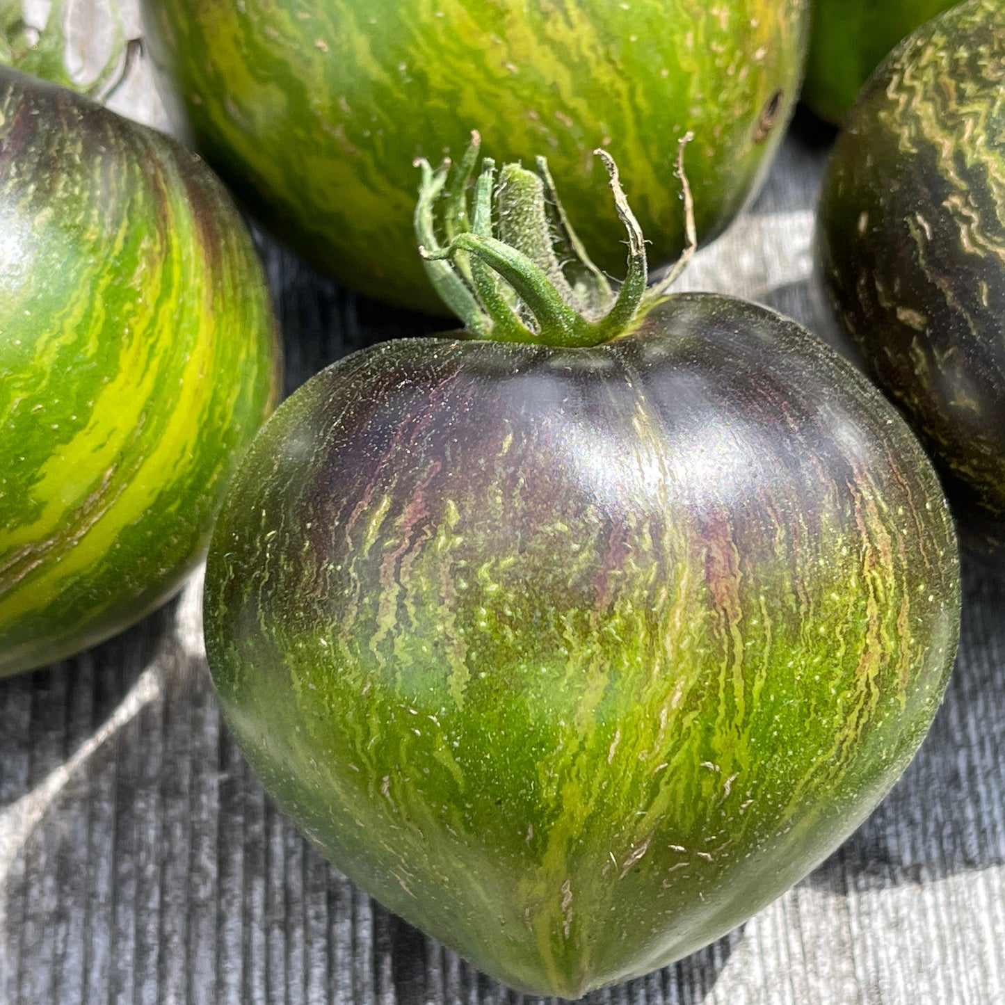 Seeds: Tomato - Rebel Starfigher VT16