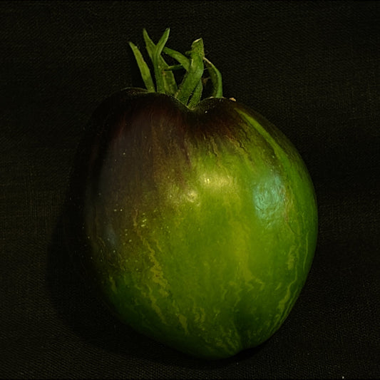 Seeds: Tomato - Rebel Starfigher VT16 - Sugar Moon Gardens