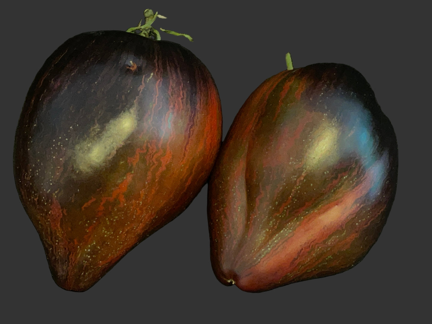 Seeds: Tomato - Rebel Starfigher Prime