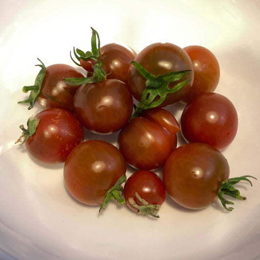 Seeds: Tomato - Reinhard's Purple Sugar (cherry) - Sugar Moon Gardens