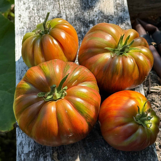 Seeds: Tomato - Suffer Well