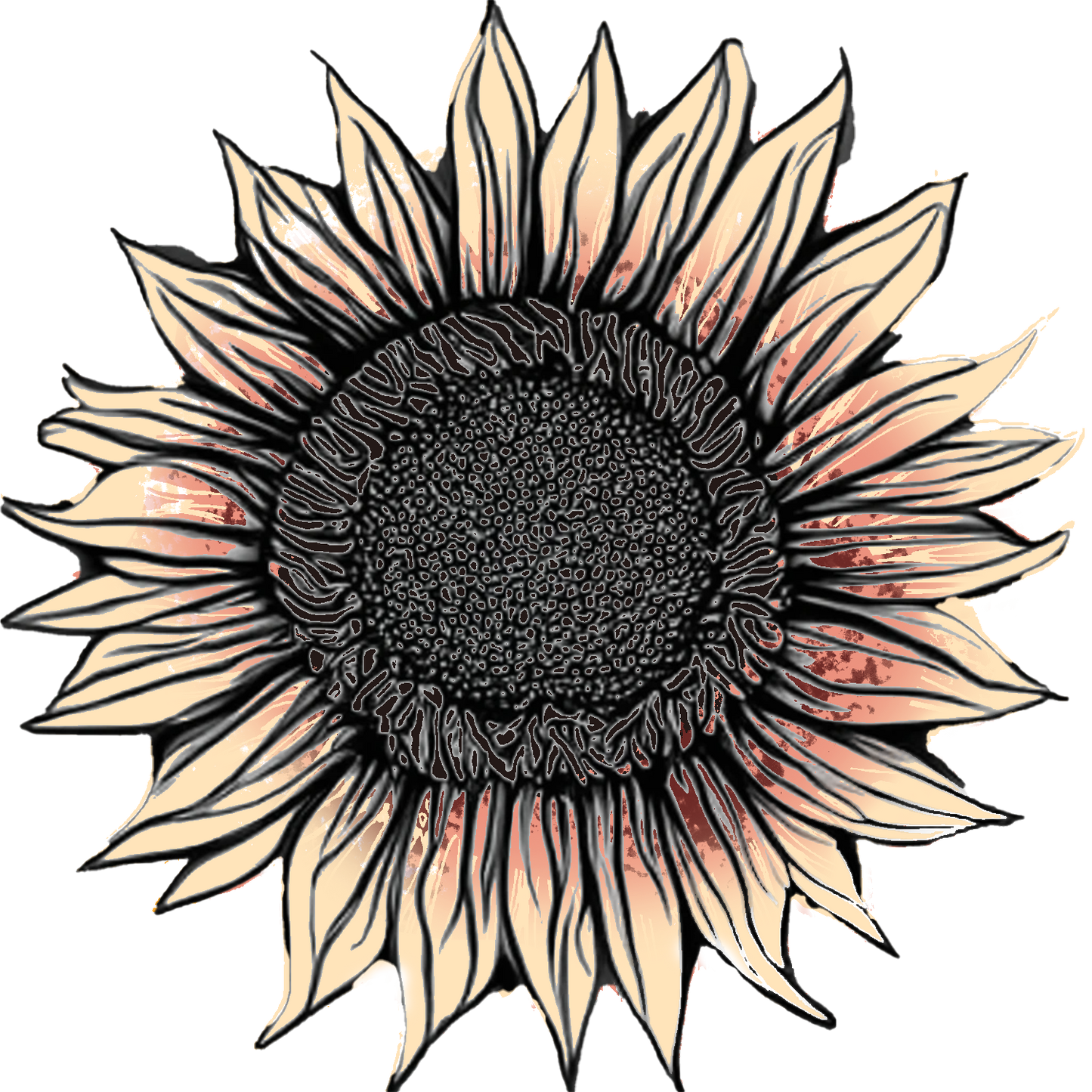 Seeds: Sunflower - ProCut® Plum (F1)