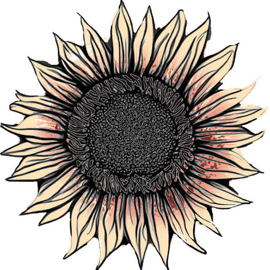 Seeds: Sunflower - ProCut® Plum (F1)