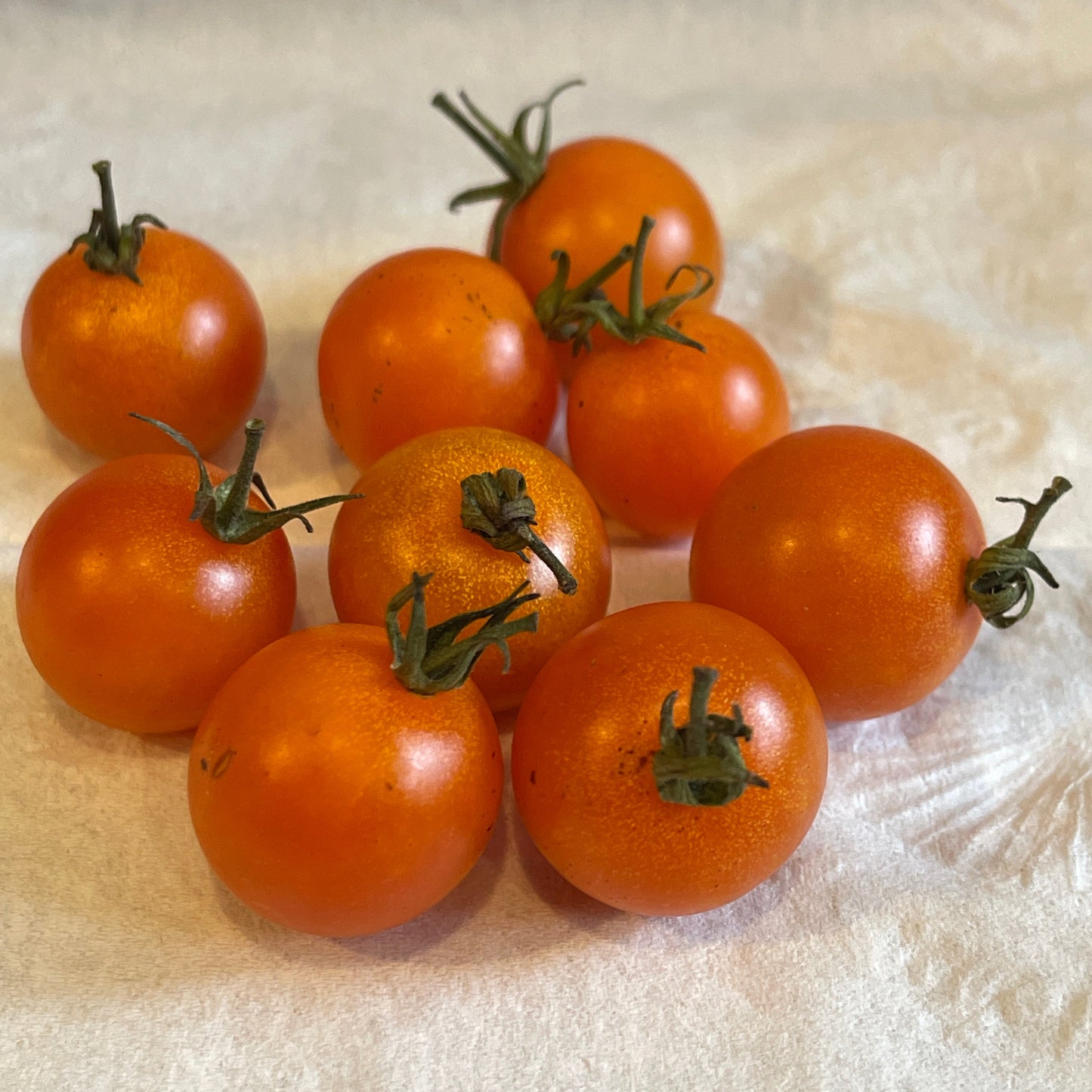 PREORDER: Veg Plant: Tomato - Cherry collection