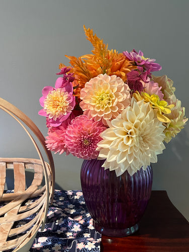 Sugar Moon Gardens Newsletter 10/30/2024 - Sugar Moon Gardens