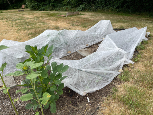 Seedling Defense against Deer & Rabbits