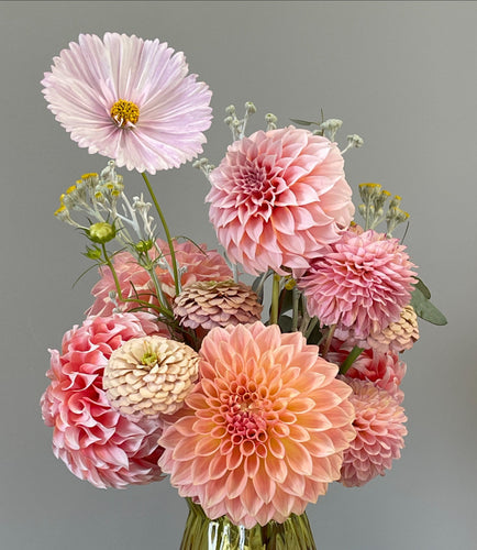 Sugar Moon Gardens Newsletter 08/21/2024 - Sugar Moon Gardens