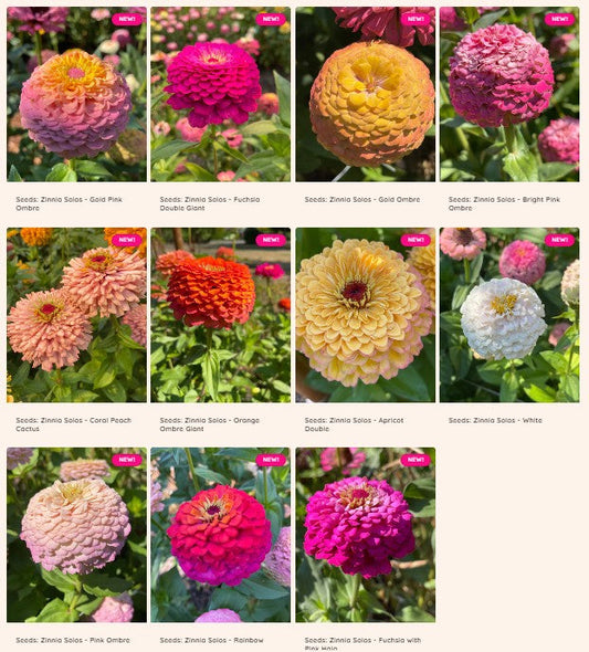 SEEDS, SEEDS, SEEDS - October 2025