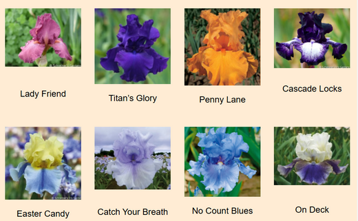 Sugar Moon Gardens Newsletter 10/16/2024 - Sugar Moon Gardens