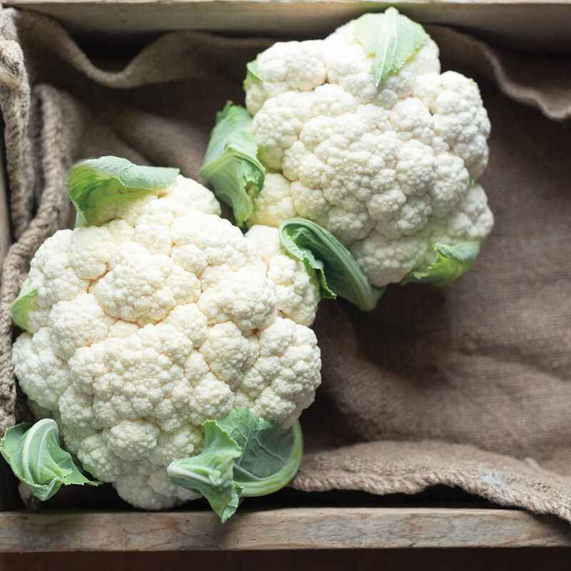 PREORDER:‎‎ Veg Plant:‎‎ Cauliflower & Romanesco Seedlings - Sugar Moon Gardens