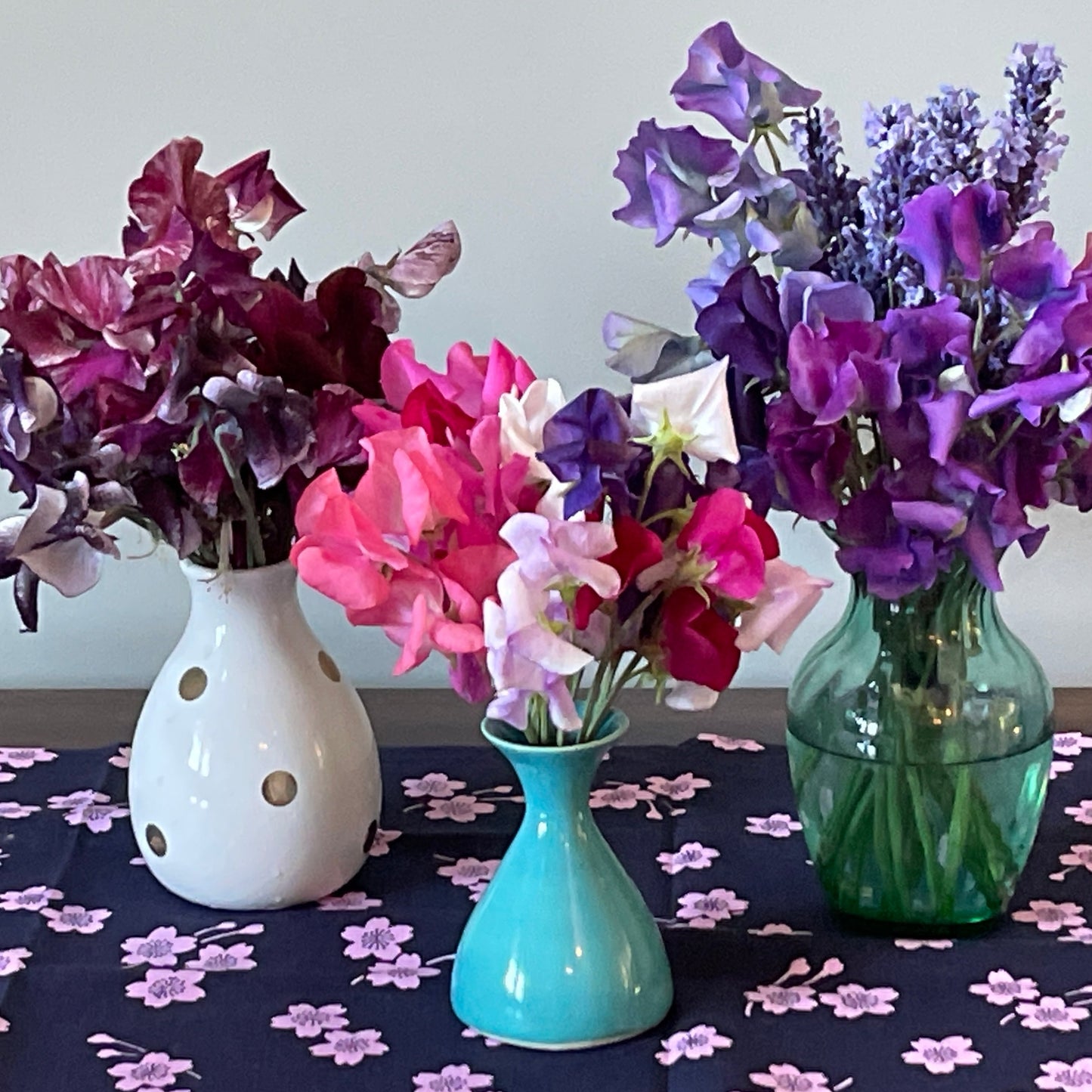 PREORDER:‎ Flower Plant:‎ Sweet Peas