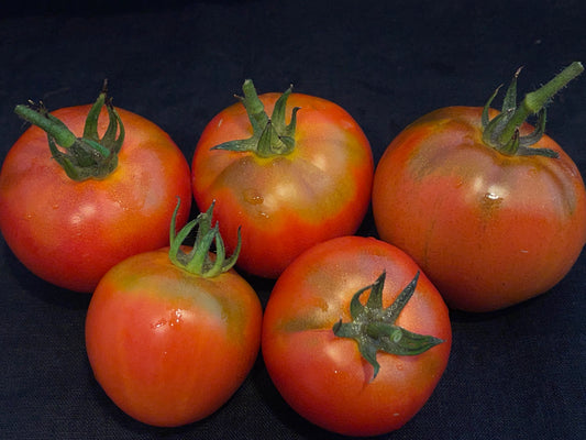 Seeds:‎ Tomato - Sweet Scarlet