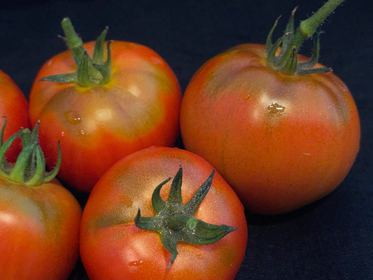 Seeds:‎ Tomato - Sweet Scarlet
