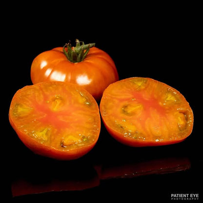 PREORDER:‎‎ Veg Plant:‎‎ Tomatoes - New & Exciting collection