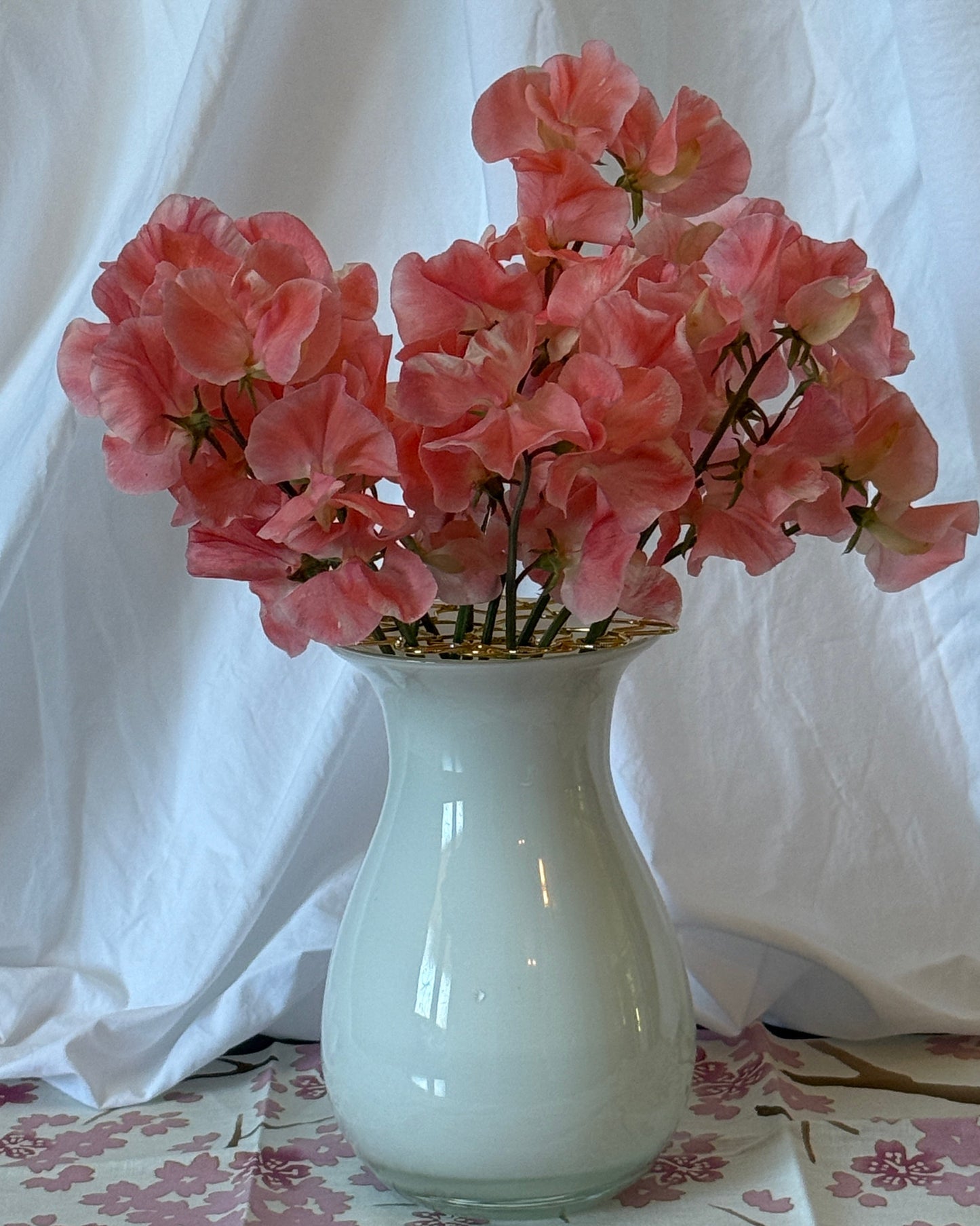 Sweet Peas Apricot Queen - Sugar Moon Gardens
