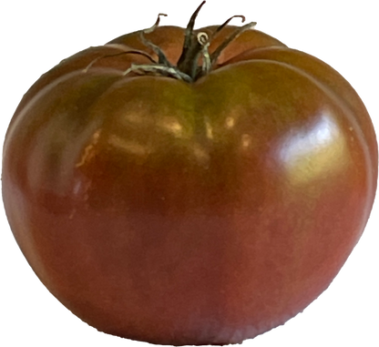 Seeds:‎‎ Tomato - Black Krim