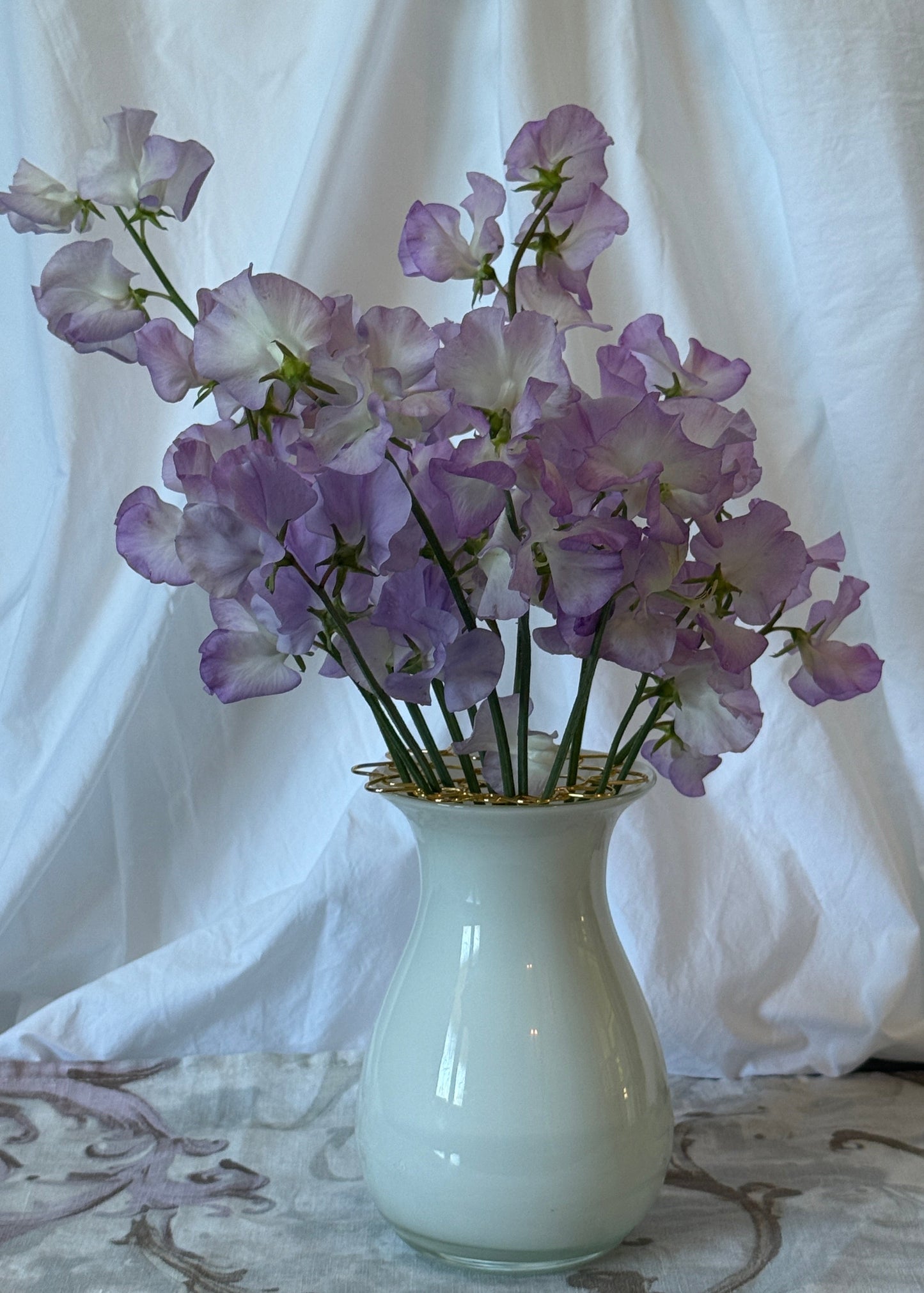 Sweet Pea Blue Pear - Sugar Moon Gardens