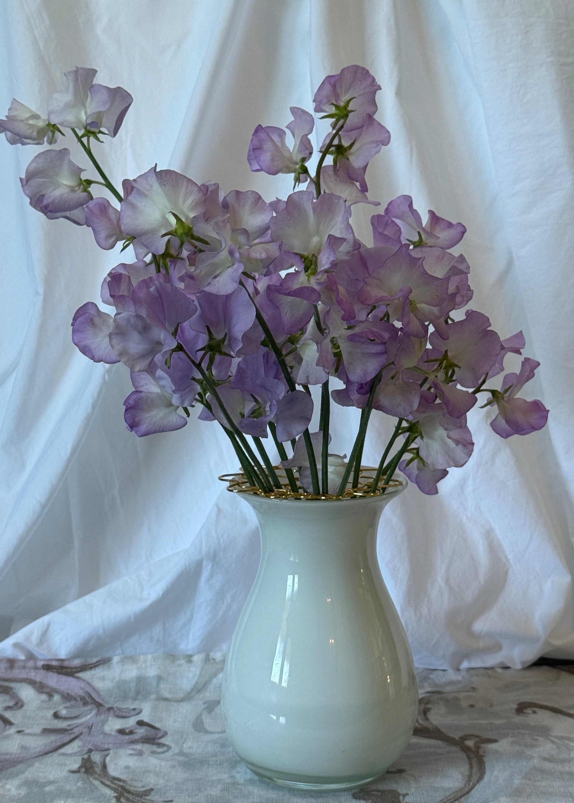 Sweet Pea Blue Pear - Sugar Moon Gardens