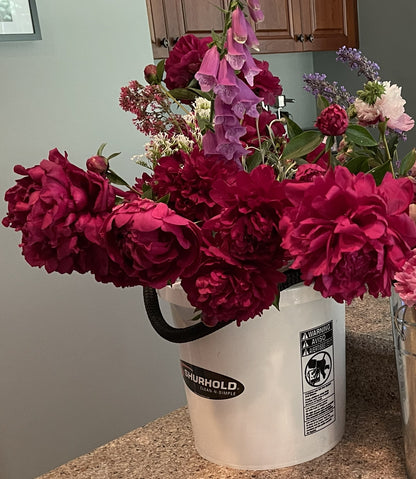 Bulk Flowers