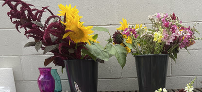 Bulk Flowers