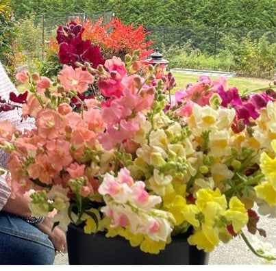 Bulk Flowers (spring - fall)