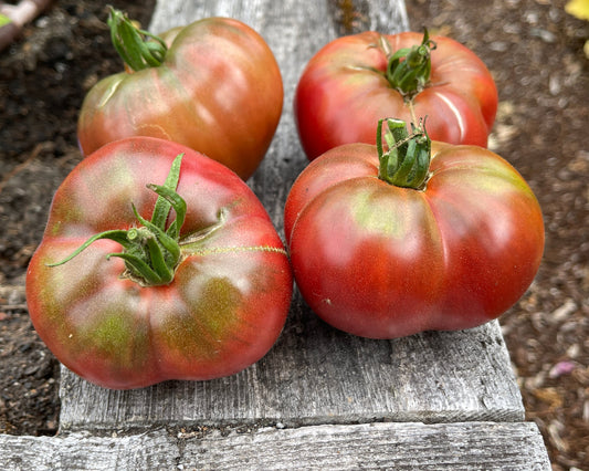 Seeds:‎ Tomato - Carbon