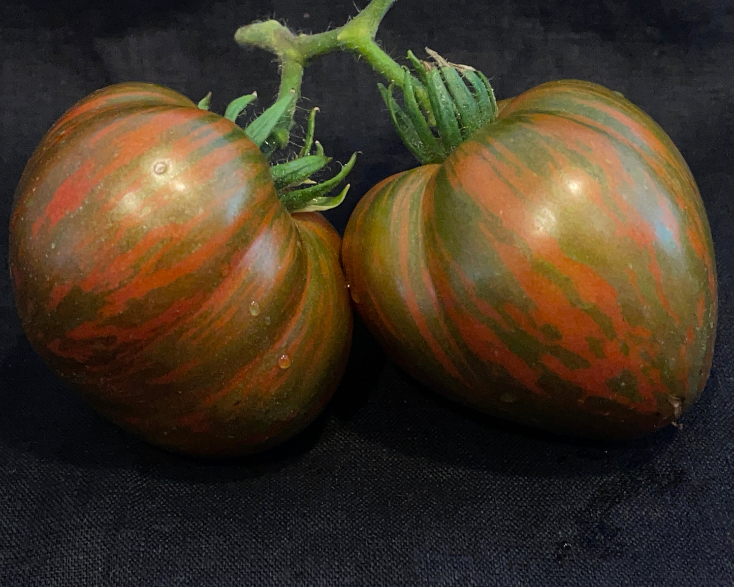 Seeds:‎ Tomato - Chocolate Lightening
