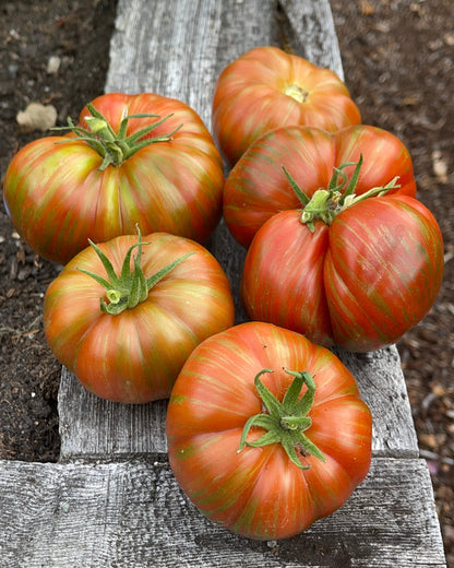 Seeds:‎ Tomato - Chocolate Lightening