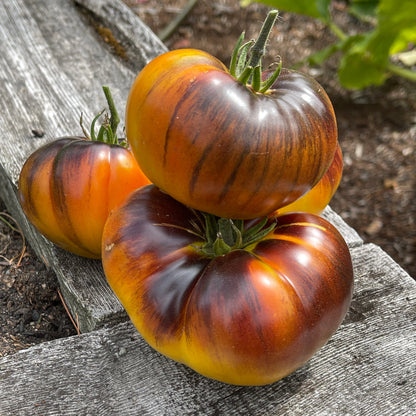 Seeds:‎ Tomato - Chupa Chubs