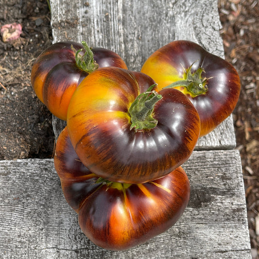 Seeds:‎ Tomato - Chupa Chubs